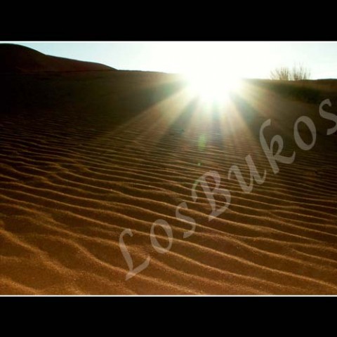 Vlnky krajina slunce afrika poušť písek paprsky teplo maroko duny horko sucho světlo a stín 