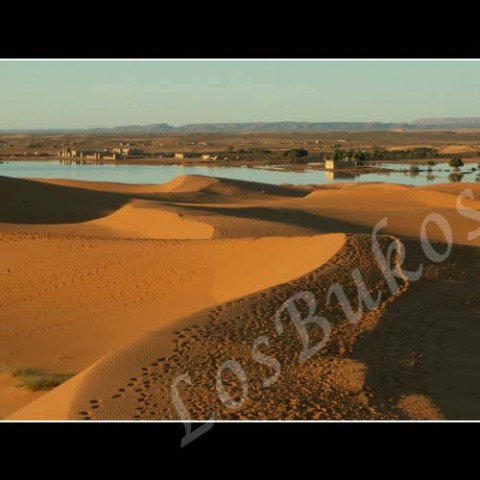 Oáza voda krajina slunce afrika poušť písek stopy teplo maroko duny horko sucho berber oáza 