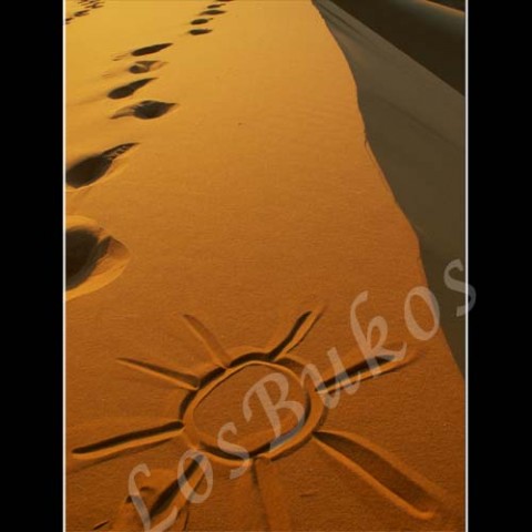 Slunce na poušti krajina slunce afrika poušť písek teplo maroko duny horko sucho světlo a stín 