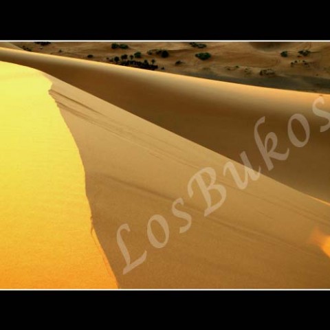 Hřeben duny krajina slunce afrika poušť písek teplo maroko duny horko sucho světlo a stín 