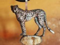 Pan Gepard