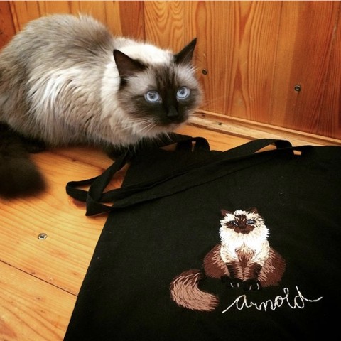 Taška s mazlíčkem kabelka zvíře taška bavlna kočka kocour kočička vyšívání plátěná kocourek vlastní 