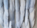 Lapač zlých snů 35 x 105 cm