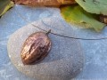 Ořechová skořápka na obruči