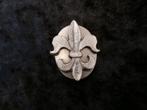 Brož s motivem Fleur de lis brož kytka lilie historie fleur skaut fleur de lis skautky 