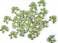 Knoflíky - zelené žabičky 5 ks