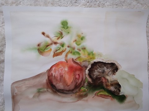 Akvarel originál Houbařské snění pestrobarevné obraz zátiší podzimní originál houba akvarel granátové jablko signováno a3 