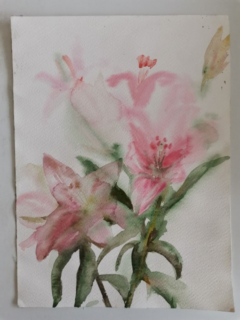 Akvarel originál Růžové lilie papír květina obraz malba přírodní romantické lilie originál akvarel poetické 