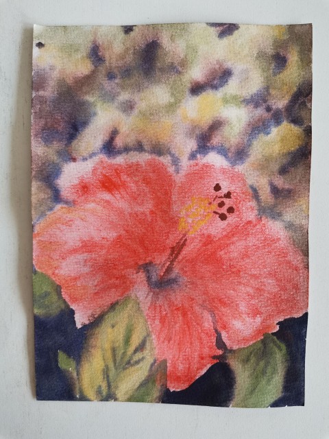 Akvarel originál Ibišek papír květina obraz malba přírodní romantické originál ibišek akvarel poetické 