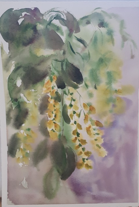 Akvarel originál Štědřenec strom květina obraz malba přírodní žlutá romantické originál akvarel 