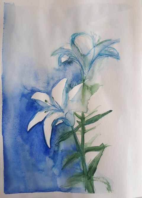 Akvarel originál Něžná lilie modrá obraz malba přírodní romantické kytka lilie originál akvarel 