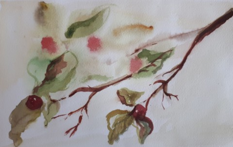 Akvarel originál Větvička papír květina obraz podzim malba přírodní romantické větvička originál akvarel poetické 