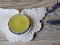Bílý svíce - křídla