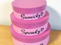 Dřevěná šperkovnice sponky, gumičky