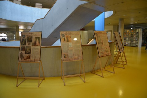 Dřevěné výstavní stojany 