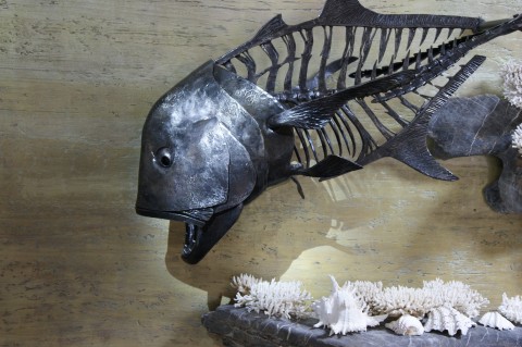Kranas obrovský - kovaná socha moře ryba socha kostra dravec kranas 