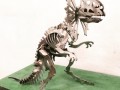 Dinosaurus