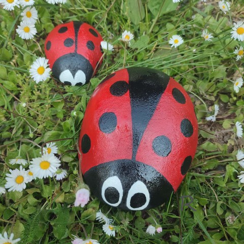 Beruška a mimi berušky červená hmyz dekorace barevné zahradní tečky beruška beton 
