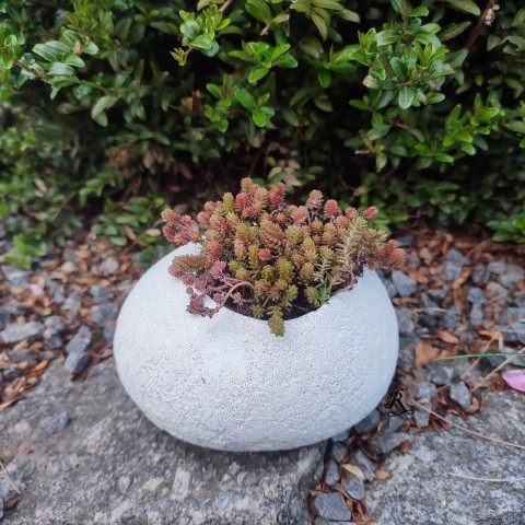 Živý kámen, květináček květináč rostliny zahrada bílý imitace valoun beton kamene zenová 