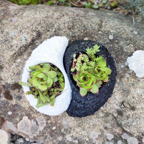 JIN JANG VALOUNY Z BETONU dekorace květináč zahrada zahradní černo-bílý jin jang hrubý beton zenová 
