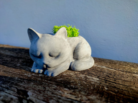 Kočička s lišejníkem kočka kočička šedá figurka odlévací-hmota stabilizovaný-lišejník 