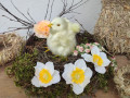 Velikonoční dekorace s kuřátkem