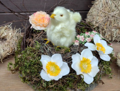 Obraz - Věčné jaro