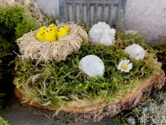 Obraz - Věčné jaro