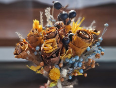 liščí toulání přírodou :)..