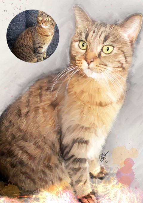 Portrét Vašeho mazlíčka - kočičky obraz kočka kočky zvířecí portrét portrét kočky obraz na zákázku 