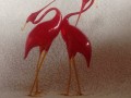 Volavky červené - pár