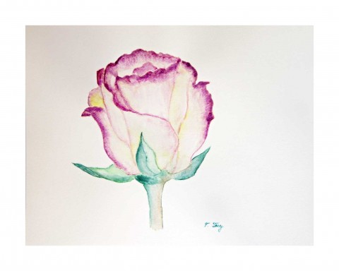 Růže originální květina obraz listy jarní obrázek květ akvarel 