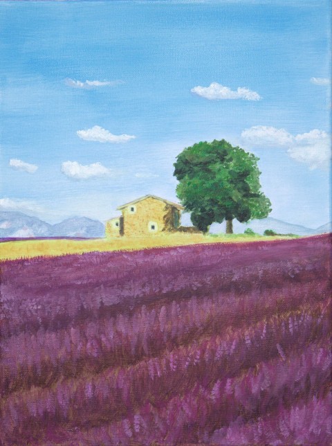 Léto v Provence strom obraz malba levandule květy květiny krajina hory obrázek léto dům obilí záhon obloha domek pole keř mraky plátno kameny okno stromek dovolená olejomalba byliny pohoří stodola chatka 