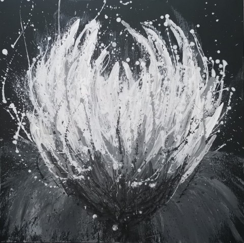 Černobílý obraz, květina obraz květ abstraktní poupě černobílý 