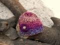 Čepice háčkovaná pestrobarevná
