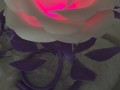 Svítící růže fialová - stolní
