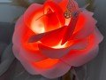 Růže- Stolní lampa