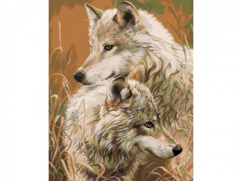 Šedí vlci malováno akrylovými barvami blin 