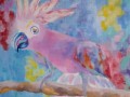 Kakadu (50x50 cm) od Floydled Art