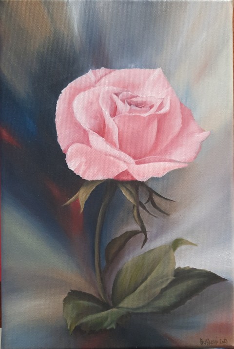 Růže květina malba růžová růže 