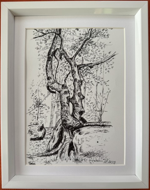 Perokresba - Strom strom příroda kresba perokresba 