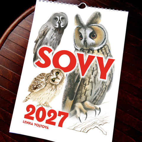 Kalendář 2027 - SOVY barva pták sova měsíční a4 sovy kalendář nástěnný 2027 