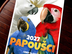 Kalendář 2027 - KOČKY