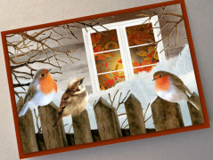 Blahopřání k Vánocům - TŘI NA PLOTĚ