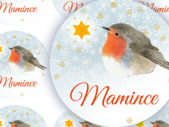 HVĚZDIČKA-TATÍNKOVI - jmenovky