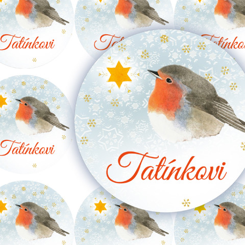 HVĚZDIČKA-TATÍNKOVI - jmenovky zábava sníh zima vánoce ptáček jmenovka přání jméno příroda vánoční hvězda diář deník hvězdička advent obálka červenka nálepka pohlednice tatínek samolepky samolepka 
