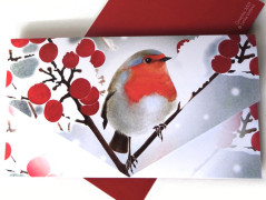 Darovací obálka - VÁNOCE V ČERVENÉ