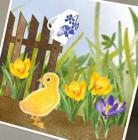 Přání - ZATOULANÉ HOUSÁTKO zelená modrá jarní přání žlutá jaro velikonoce tráva velikonoční přáníčko plot džbán house krokusy džbánek housátko 