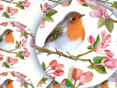 ZAHRADA VONÍCÍ JAREM - pohlednice