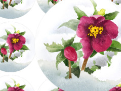 ZAHRADA VONÍCÍ JAREM - pohlednice